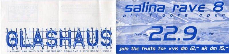 Salina Rave 8 · All Floors Open · Freitag 22.09., 21 Uhr · Glashaus Bad Salzuflen · Hinterm HBF · Begakamp 8