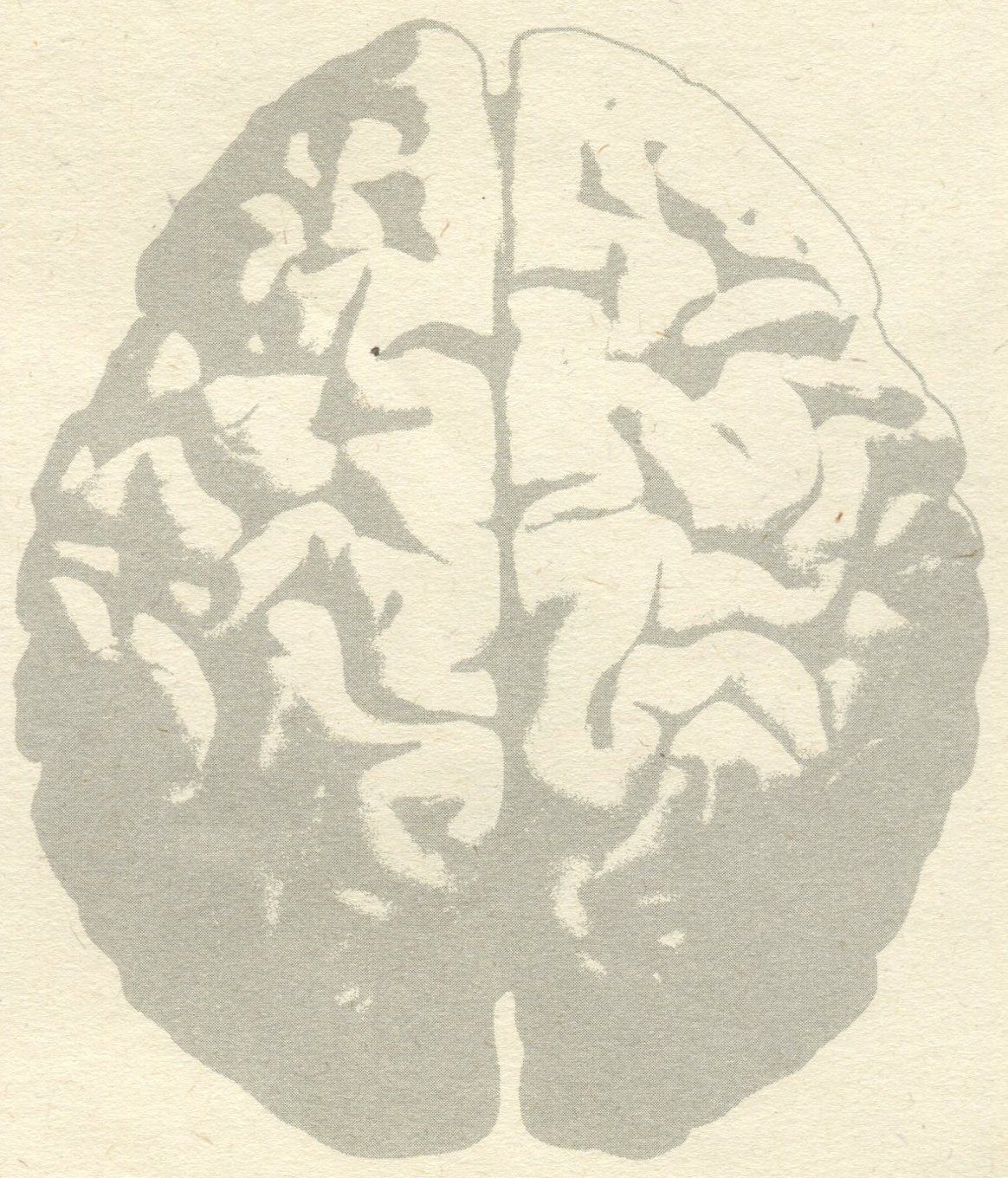 Pressekritik · Scan leitz0146_part-02