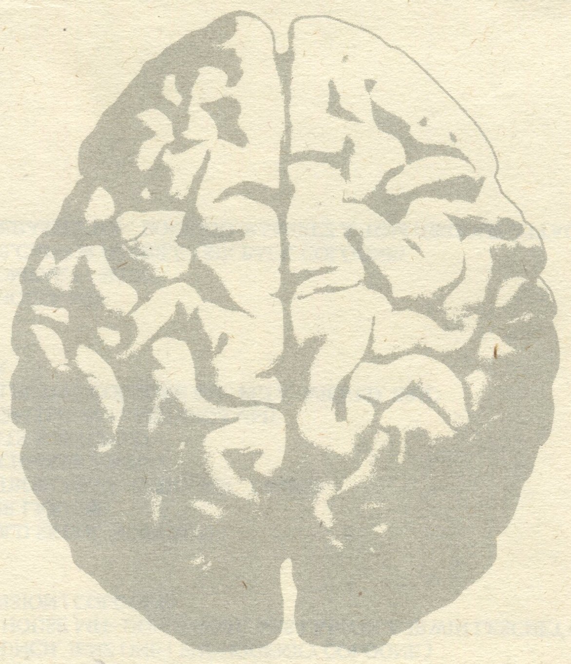 Pressekritik · Scan leitz0155_part-02